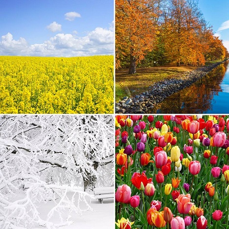 photo collage of seasons