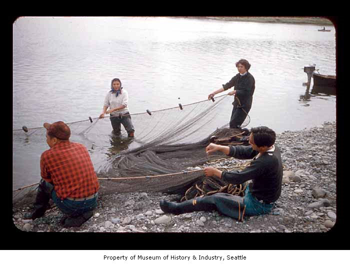 image of people pulling net out of water