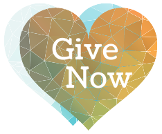 button with a heart and text that says give now