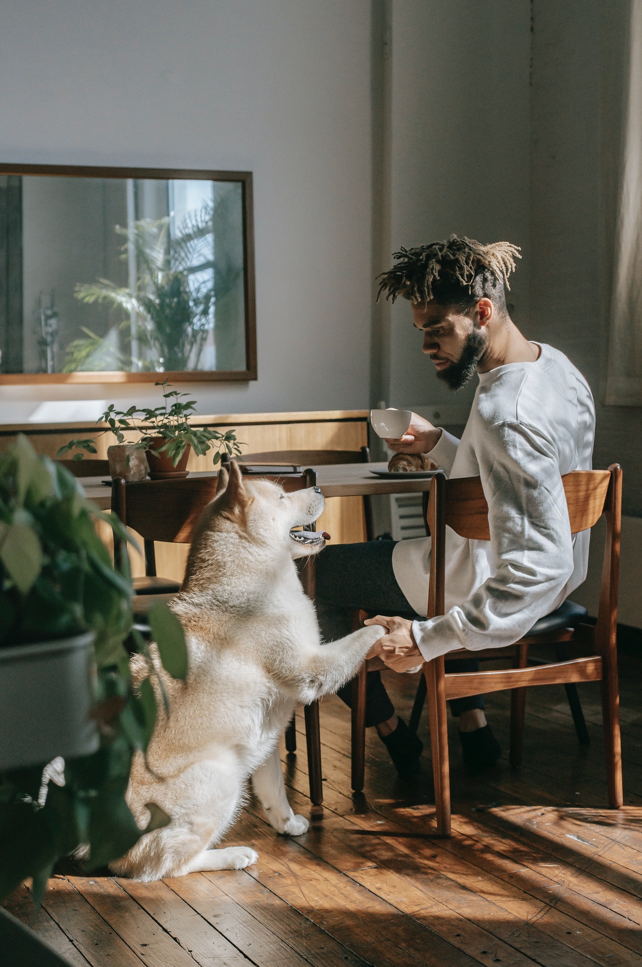 photo showing dog holding paw out to a person